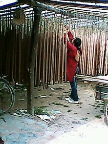 河南竹木加工廠 竹簽、二手制香機(jī)與營(yíng)林機(jī)械制造的綜合服務(wù)